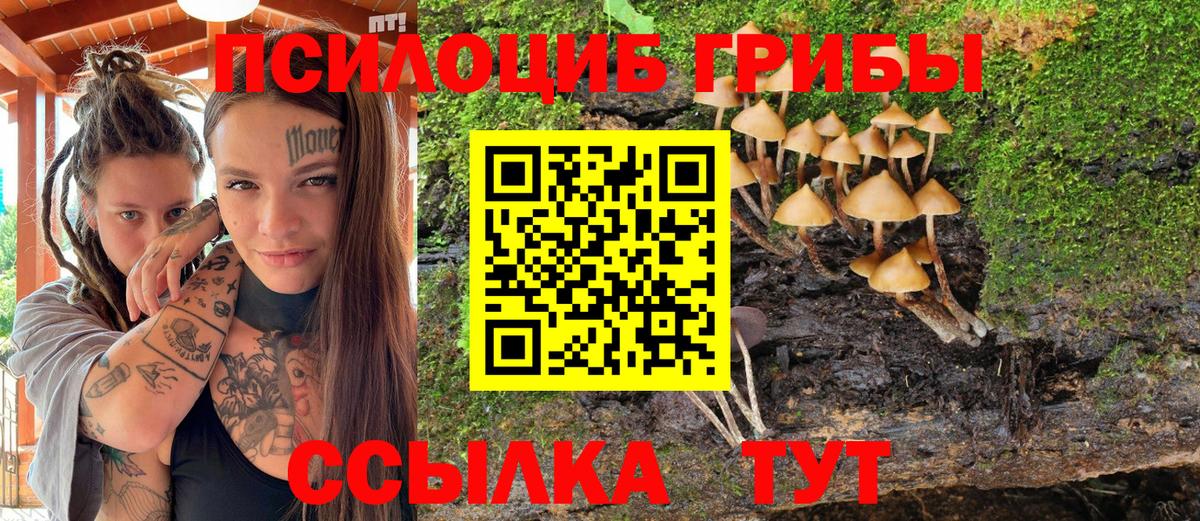 Галлюциногенные грибы GOLDEN TEACHER Ирбит