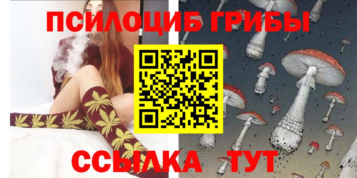 Ирбит  магазин продажи наркотиков  Вход с VPN  Псилоцибиновые грибы Cubensis 