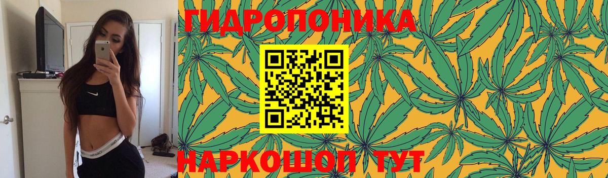 Каннабис конопля Ирбит